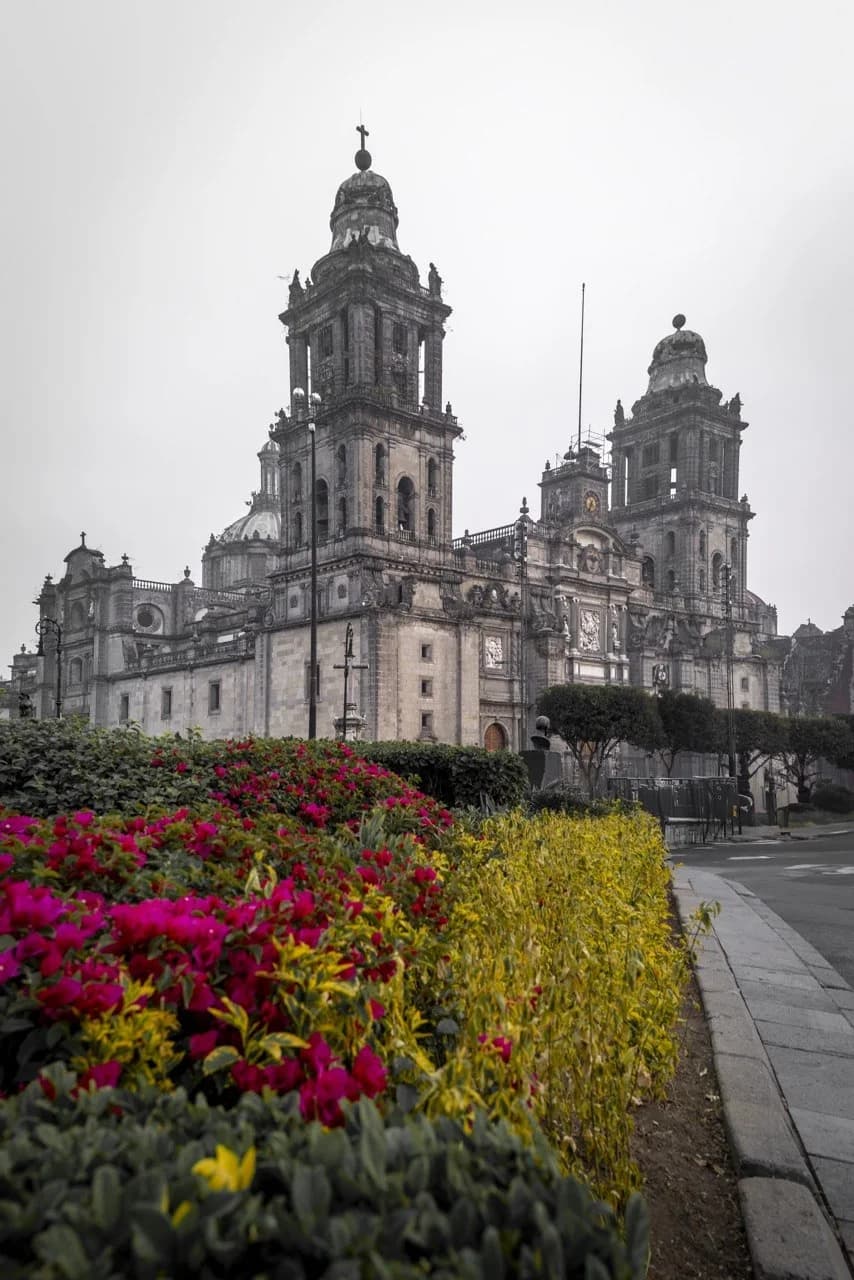 La Catedral entre flores — la fotógrafa Emma Pinto