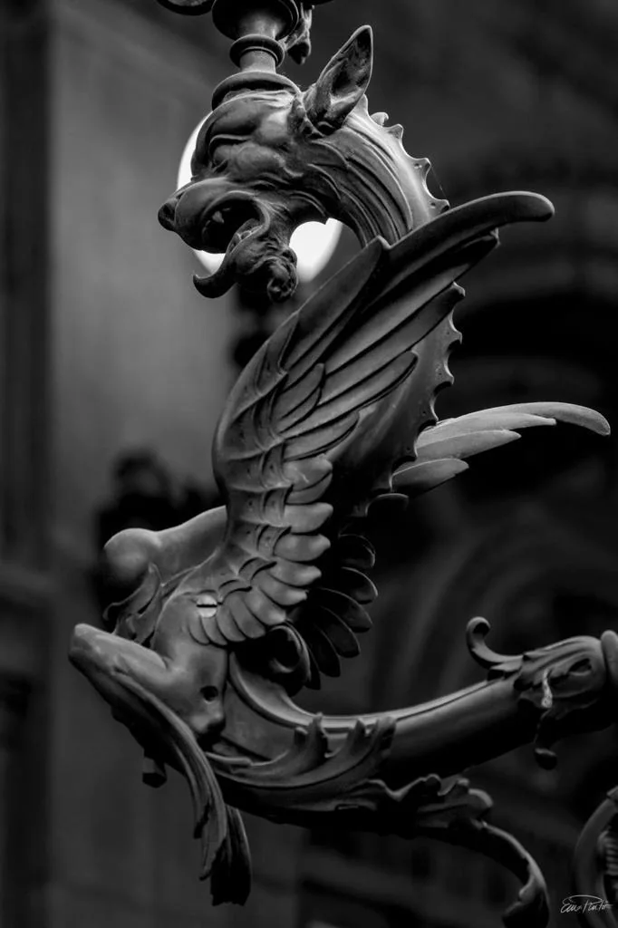 Textura de muro — la fotógrafa Emma Pinto