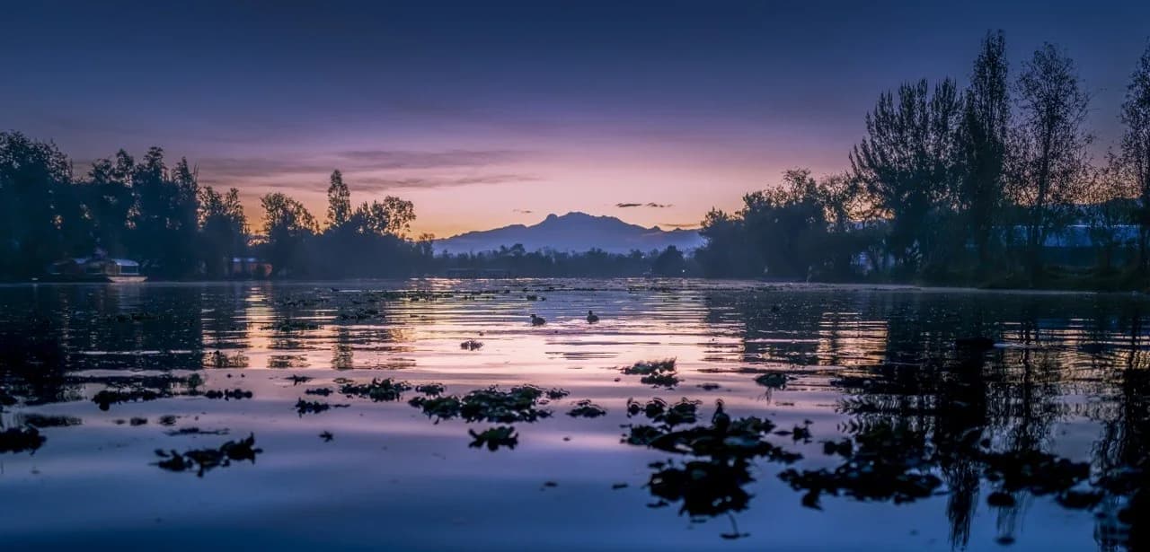 Canales de Xochimilco — la fotógrafa Emma Pinto