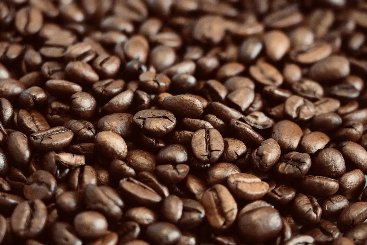 CAFÉ FRESCO MOLIDO